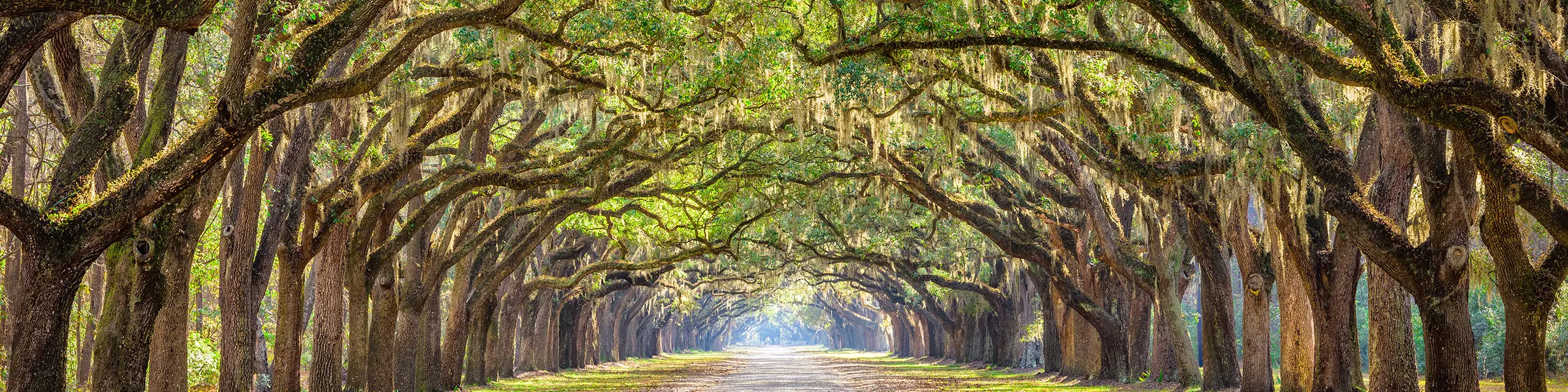 oak grove