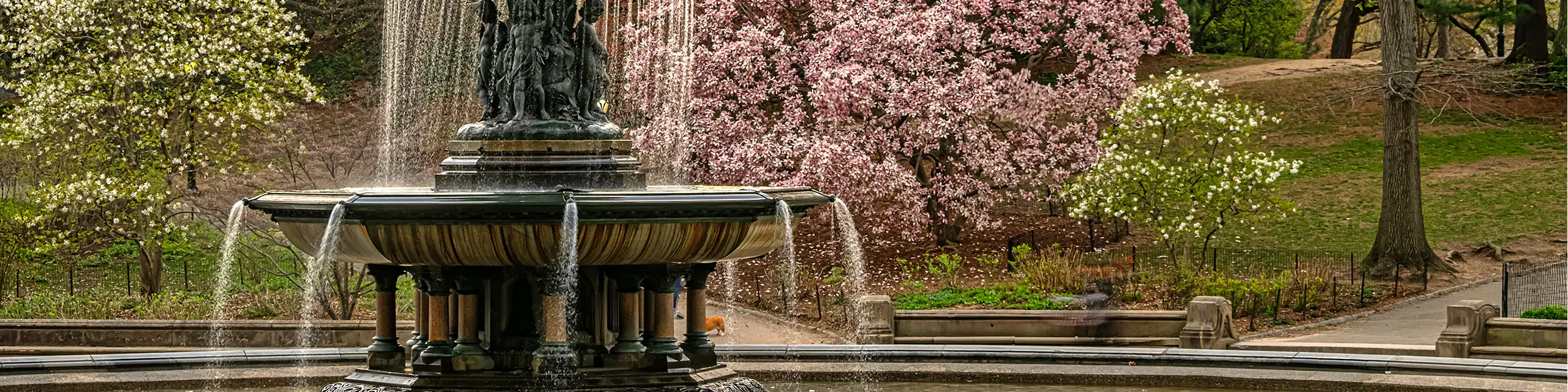 fountain